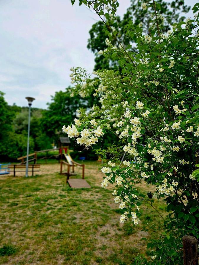 Smoldzinskie Zacisze Smoldzino Luaran gambar